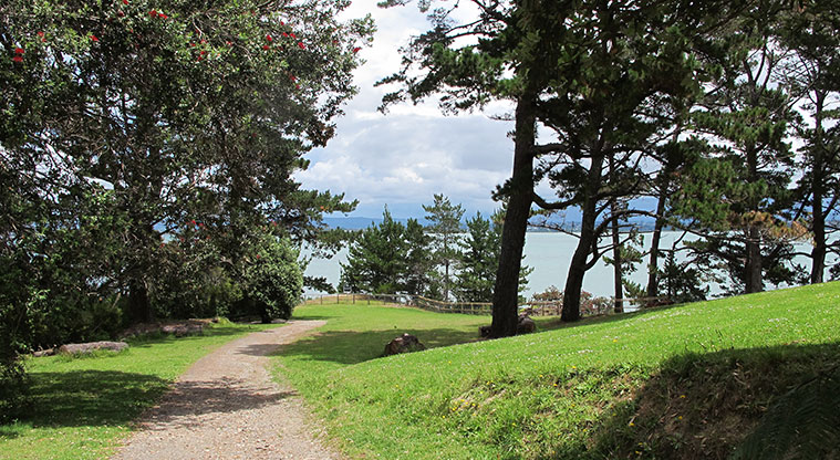 Kauri Point Domain Path - Path leading to lookout area and grass picnic spot