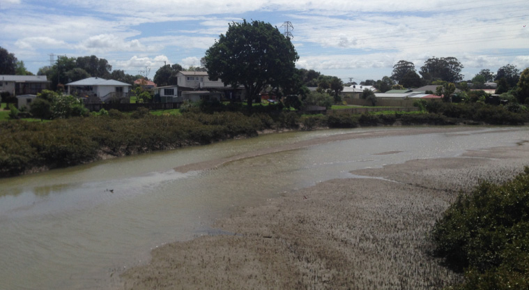 Ken Maunder Path - view of Te Whau River from Queen May Ave entrance bridge
