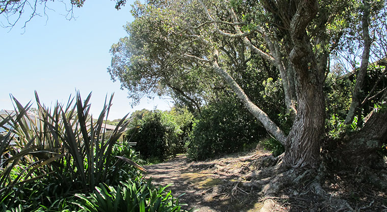 Kepa Bush Path - Start of the path from Thatcher Street.