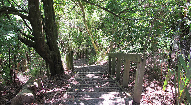 Kepa Bush Path - Initial flight of stairs.