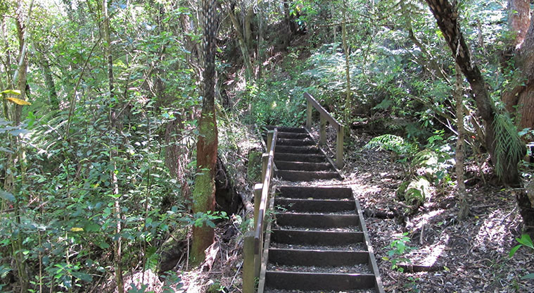 Kepa Bush Path - Head up the next flight of stairs.