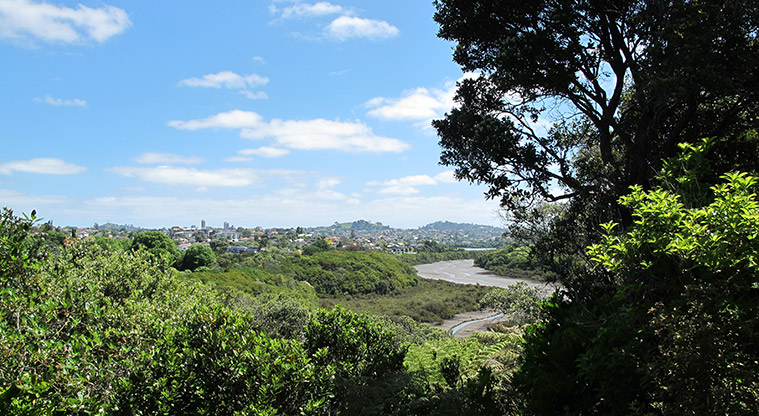 Kepa Bush Path - Second lookout – great views to the city.