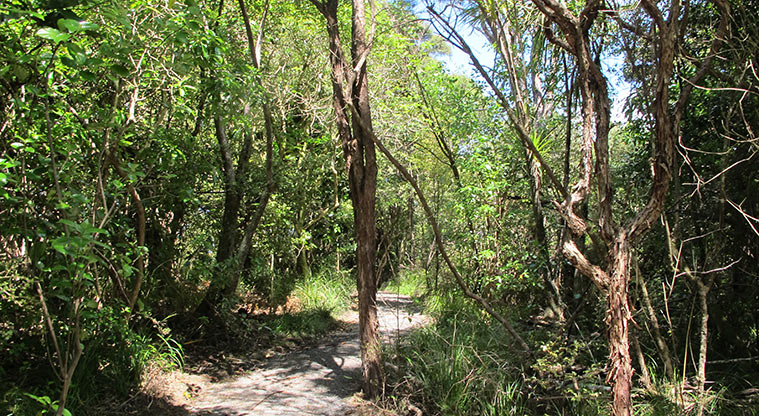 Kepa Bush Path - Gravel section of the path.
