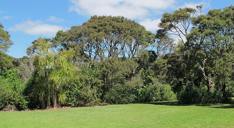 Kepa Bush Path - Green space and seating.