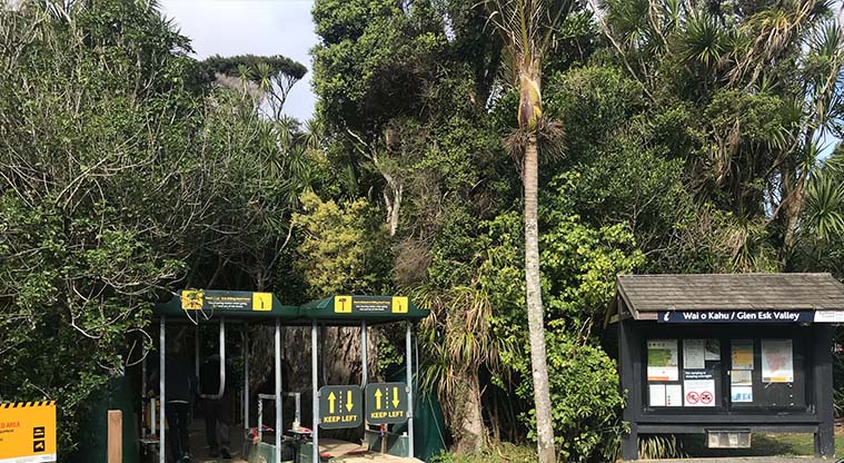 Kitekite Falls Track - The track starts at the end of Glen Esk Road. Make sure you follow the instructions at the kauri dieback cleaning station – no soil is to enter or leave the restricted area.