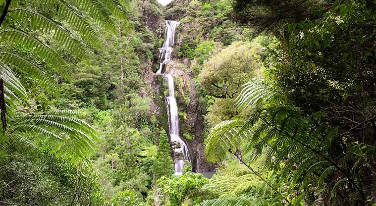 Kitekite Falls Track - The Kitekite Falls consist of a beautiful sequence of cascades.