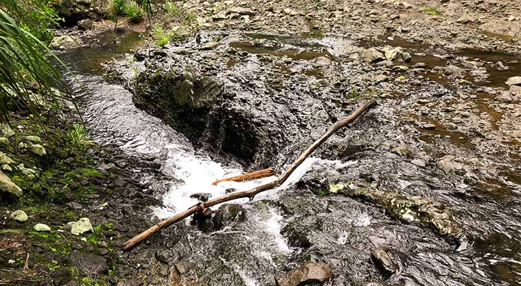 Kitekite Falls Track - The crossing at the falls is not formed, you’ll have to do a little rock hopping to get across. Note: do not cross after heavy rain!