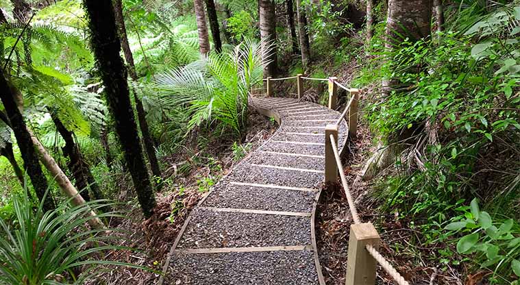Kitekite Falls Track - From the falls, take the beautiful meandering track back down to the stream.