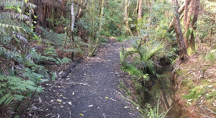 Konini School Path - Mountain bike track