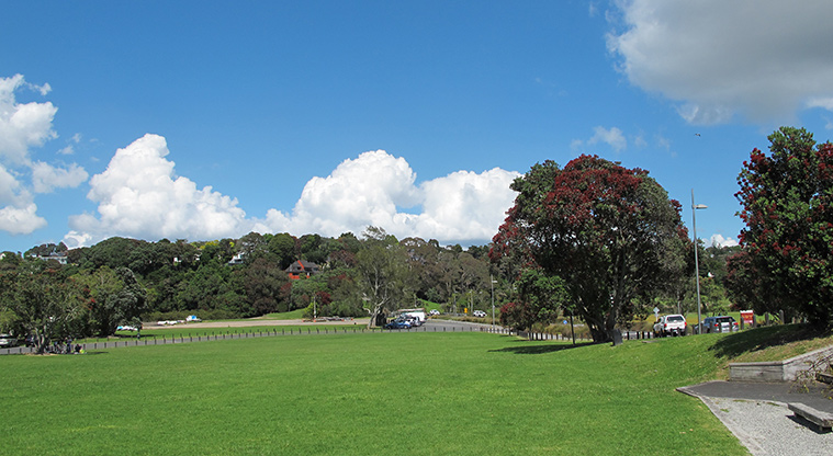 Le Roys Bush Path - Dudding Park sports fields.