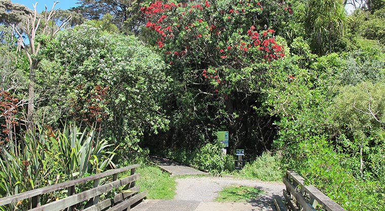 Le Roys Bush Path - Entry to trail part of the path from the Dudding Park carpark.