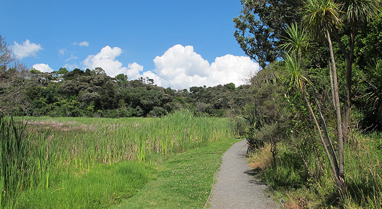 Le Roys Bush Path - Start of trail alongside wetland.