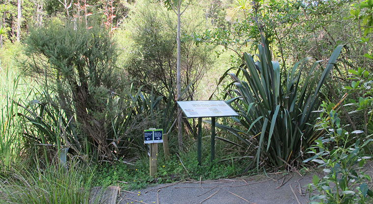 Le Roys Bush Path - Interpretation panels along the way.