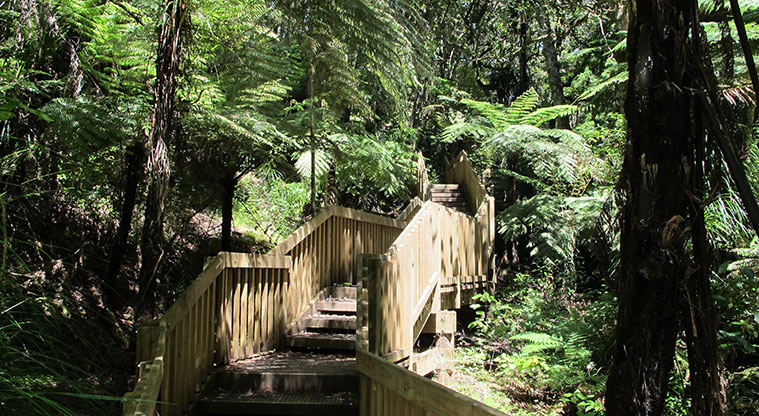 Le Roys Bush Path - As you get to the top of the walk there are a number of steps and viewing platforms.