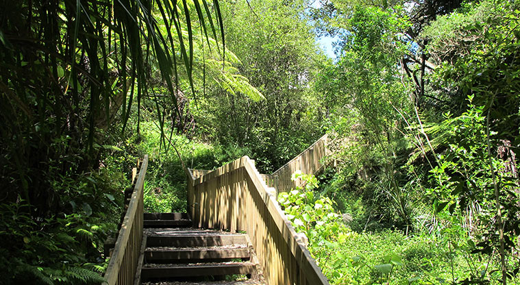 Le Roys Bush Path - Last part of the path before accessing Highbury main street.