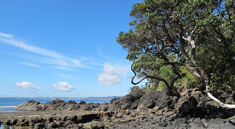 Leigh Coastal Path - Crabb Bay.