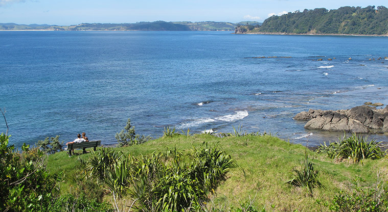 Leigh Coastal Path - Lookout to Omaha and Tawharanui.