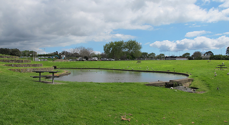 Lloyd Elsmore Path - Duck pond.