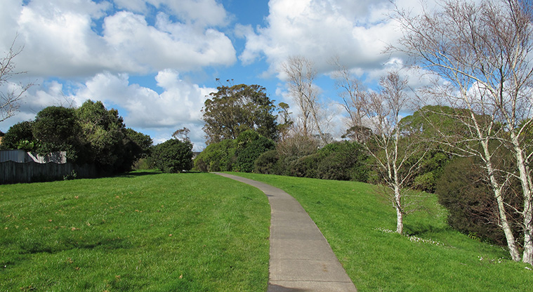 Logan Carr Path - Path through Logan Carr Reserve.