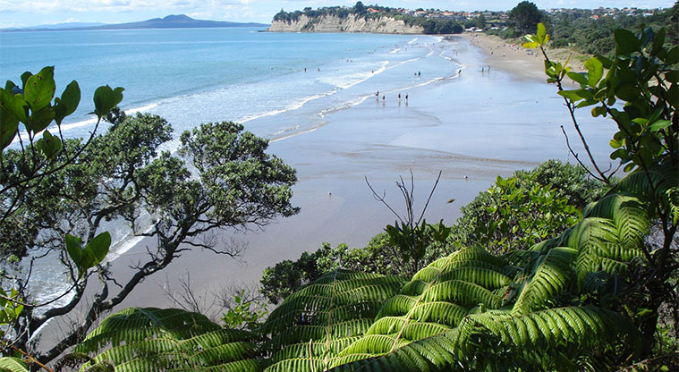 Long Bay Path - View from the pillbox lookout point on the ridge.