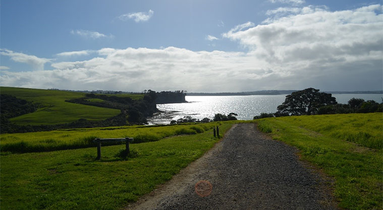 Long Bay Path - A northern perspective taking in Granny’s Bay, Pōhutukawa Bay and Whangaparāoa Peninsula.