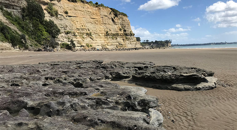 Long Bay Path - Rocks on Long Bay Beach. 