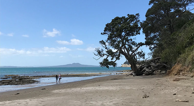 Long Bay Path - The northern end of Long Bay Beach at low tide.