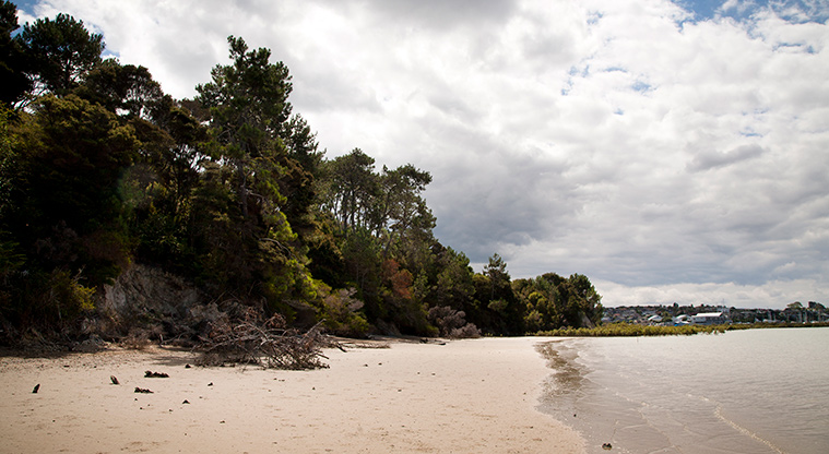 Luckens Coastal Path