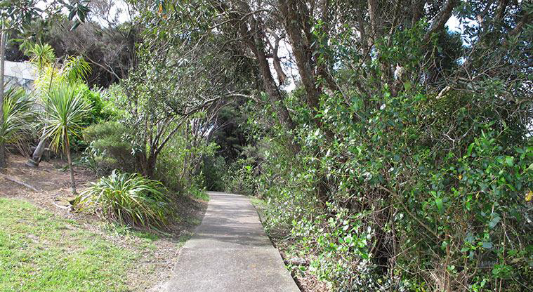 Luckens Coastal Path - Entering bush area.