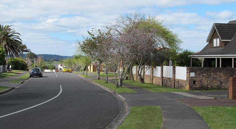 Luckens Coastal Path - Short section of footpath on Renoir Street.