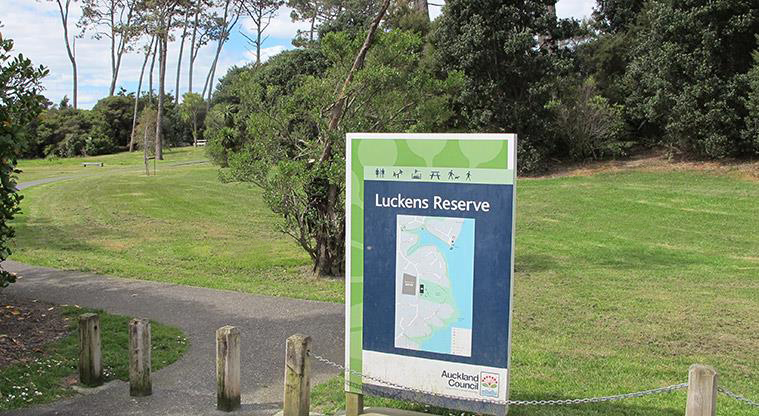 Luckens Reserve Path - Path start point.