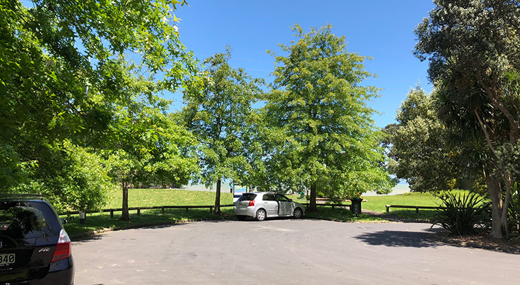 Lynfield Cove Path - Path starts from the main car park off Gilletta Road