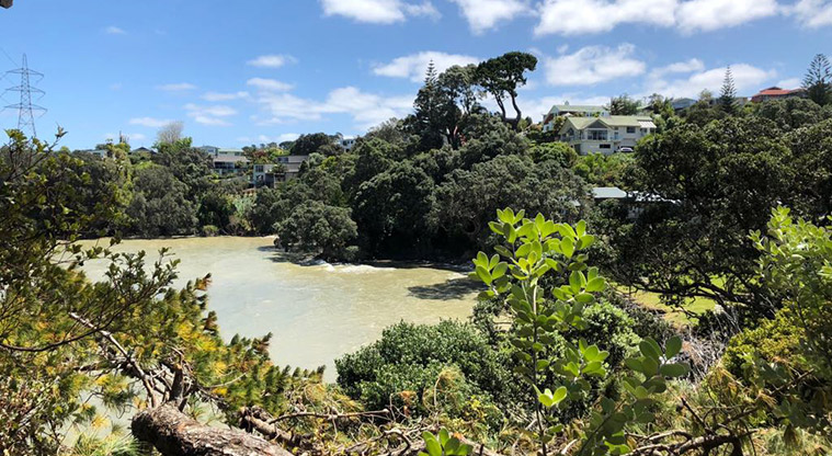 Lynfield Cove Path - View over Lynfield Cove Beach