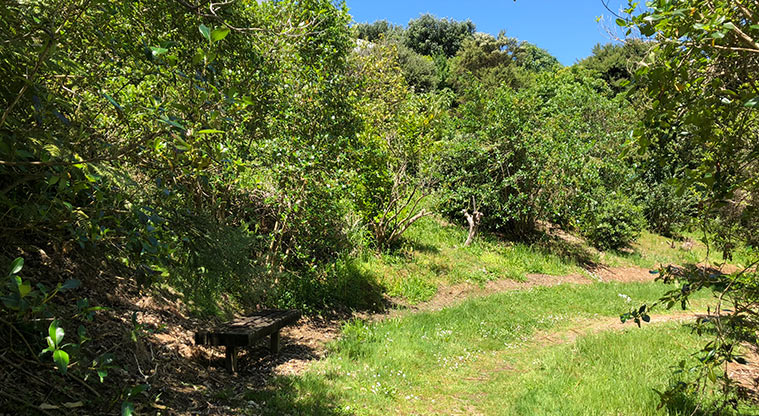 Lynfield Cove Path - Grass part of the route.
