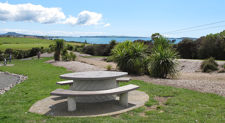 Macleans Path - Great spot to sit next to the flying fox