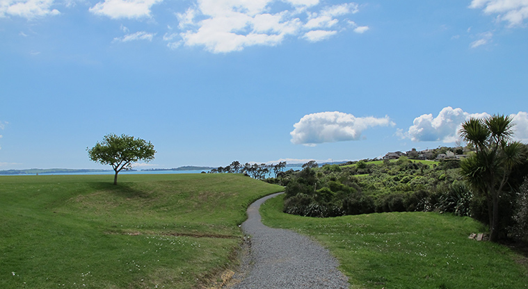 Macleans Path - The path runs alongside Macleans College