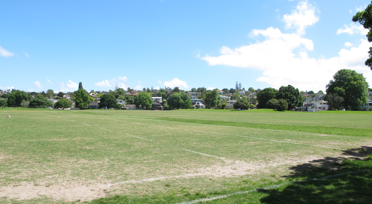 Madills Path - Sport fields at Madills Farm Recreation Reserve.