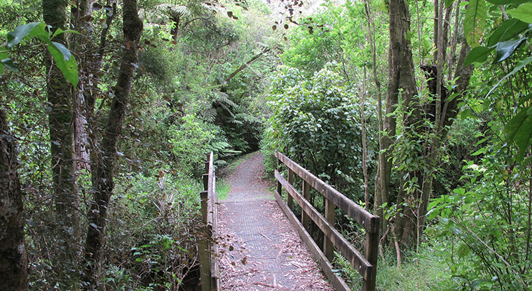 Mangemangeroa Kōwhai Path - Short bridge over tributary stream.