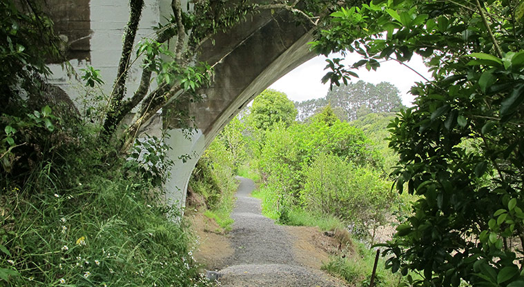 Mangemangeroa Kōwhai Path - Path running below the Whitford Road arch bridge.