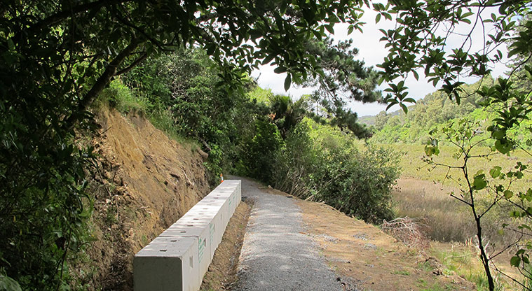 Mangemangeroa Kōwhai Path - Recent improvements to the path.