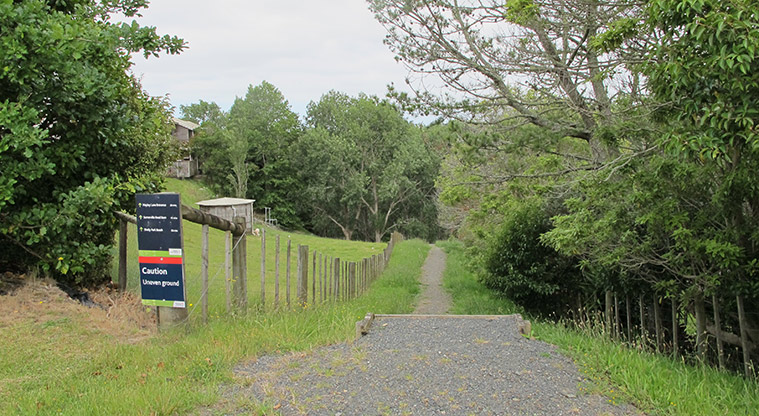 Mangemangeroa Kōwhai Path - Alternative midpoint access from Point View Drive