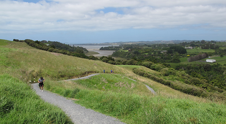 Mangemangeroa Rotary Path - Initial downhill section of the path.