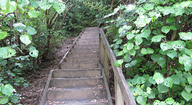 Mangemangeroa Rotary Path - The loop then heads back up.