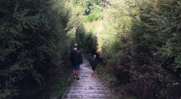Mangemangeroa Shelly Park Beach Path - There are a few steps along the way.