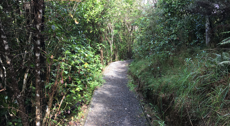 Mangemangeroa Shelly Park Beach Path - A typical section of the gravel path.