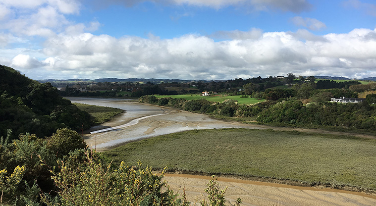 Mangemangeroa Shelly Park Beach Path - A view from Archie's Lookout.