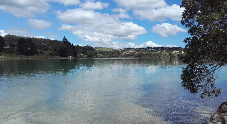 Mangemangeroa Shelly Park Beach Path - A view at full tide at Shelly Park Beach.