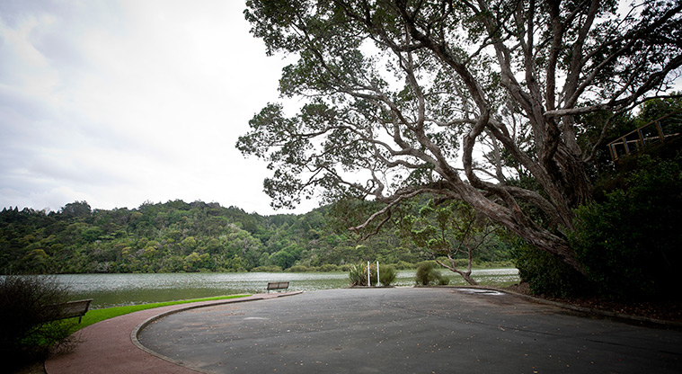 Manuka Reserve Path- Views over Hellyers Creek.
