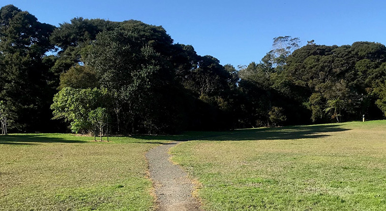Manuka Reserve Path- Path through dog exercise area.