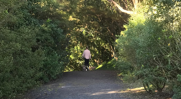 Manuka Reserve Path- Typical gravel section of the path.